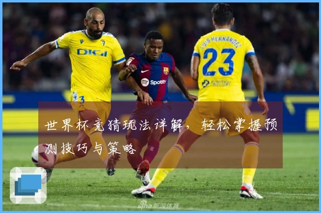 世界杯竞猜玩法详解，轻松掌握预测技巧与策略
