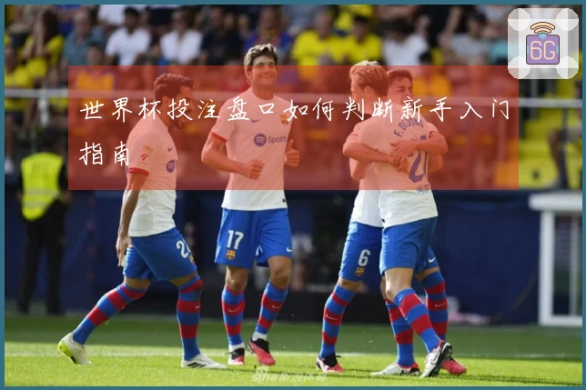 世界杯投注盘口如何判断新手入门指南