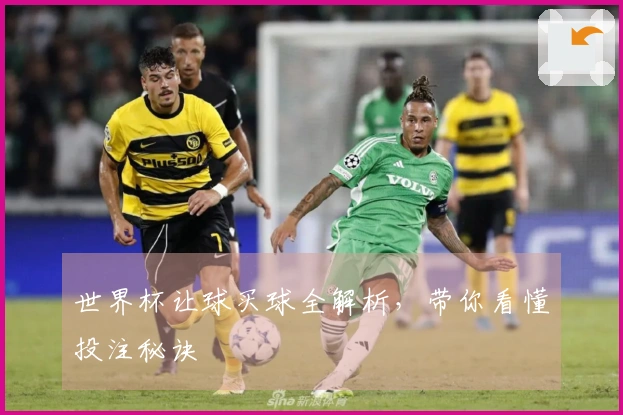 世界杯让球买球全解析，带你看懂投注秘诀