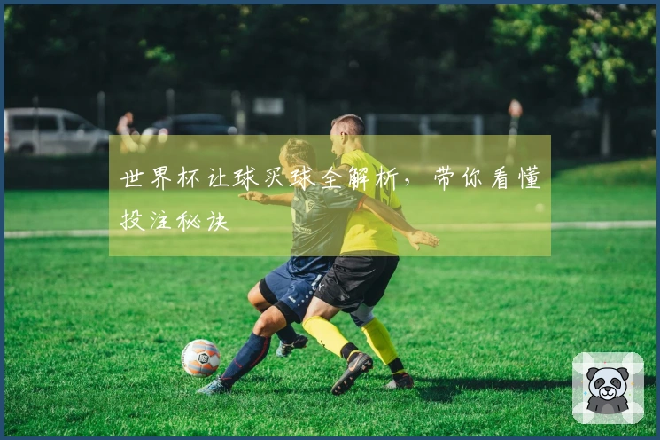 世界杯让球买球全解析，带你看懂投注秘诀
