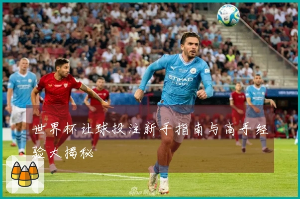 世界杯让球投注新手指南与高手经验大揭秘