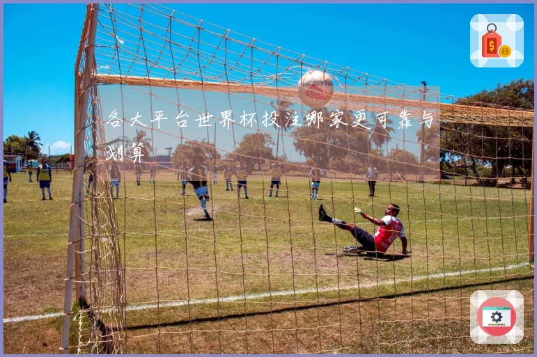 各大平台世界杯投注哪家更可靠与划算